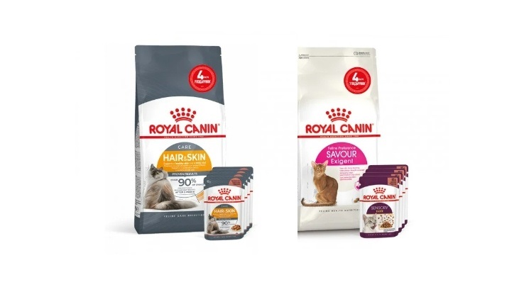 https://101dalmatin.ua/tovary-dlya-kotiv/korm-dlya-kotiv/royal-canin